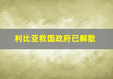 利比亚救国政府已解散