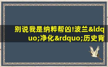 别说我是纳粹帮凶!波兰“净化”历史背后的民族主义