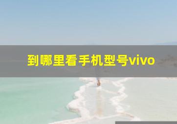 到哪里看手机型号vivo