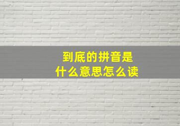 到底的拼音是什么意思怎么读