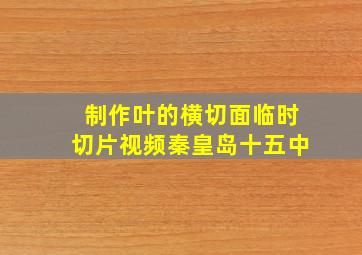 制作叶的横切面临时切片视频秦皇岛十五中