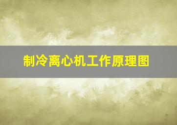 制冷离心机工作原理图