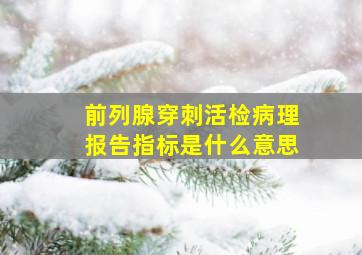 前列腺穿刺活检病理报告指标是什么意思