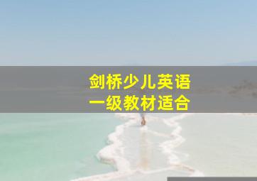 剑桥少儿英语一级教材适合