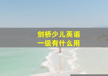 剑桥少儿英语一级有什么用