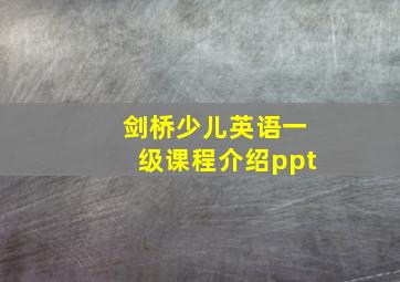 剑桥少儿英语一级课程介绍ppt