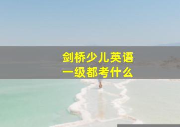 剑桥少儿英语一级都考什么