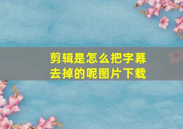 剪辑是怎么把字幕去掉的呢图片下载