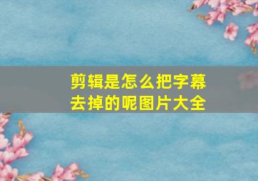 剪辑是怎么把字幕去掉的呢图片大全