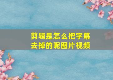 剪辑是怎么把字幕去掉的呢图片视频