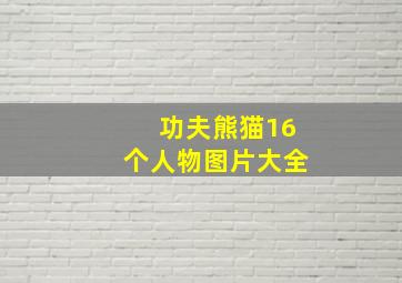 功夫熊猫16个人物图片大全