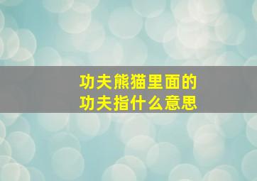 功夫熊猫里面的功夫指什么意思