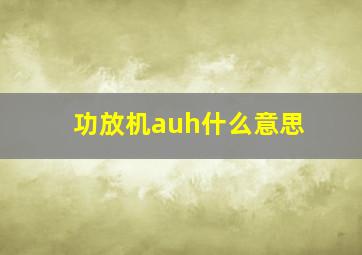 功放机auh什么意思