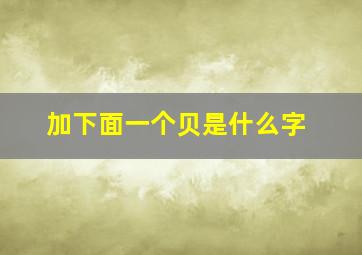 加下面一个贝是什么字