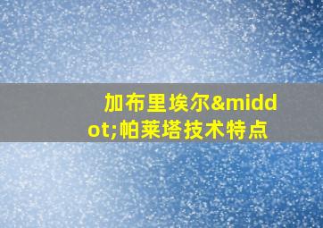 加布里埃尔·帕莱塔技术特点