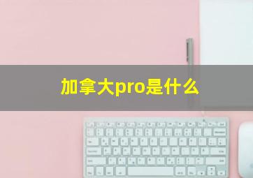 加拿大pro是什么