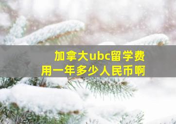 加拿大ubc留学费用一年多少人民币啊