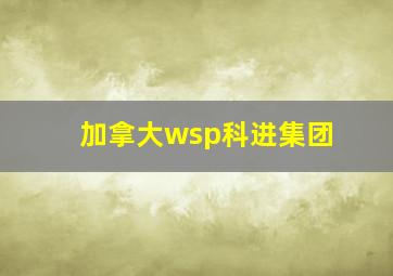 加拿大wsp科进集团