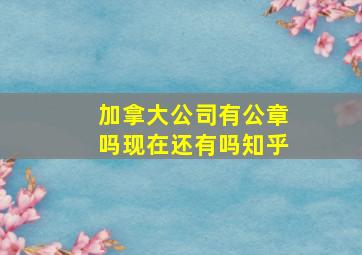 加拿大公司有公章吗现在还有吗知乎