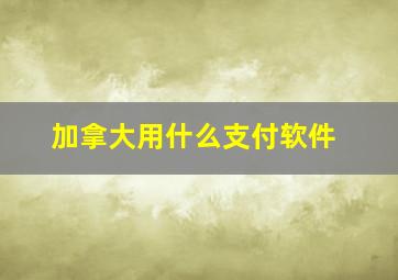 加拿大用什么支付软件