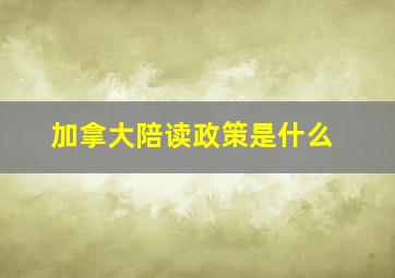 加拿大陪读政策是什么