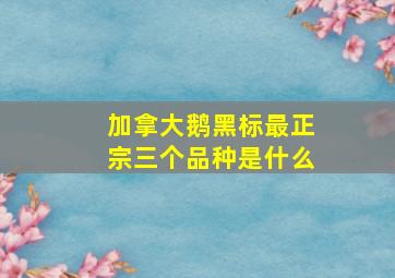 加拿大鹅黑标最正宗三个品种是什么