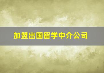 加盟出国留学中介公司