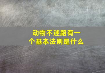 动物不迷路有一个基本法则是什么