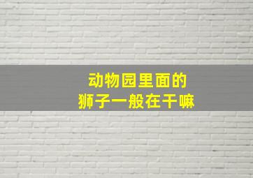 动物园里面的狮子一般在干嘛