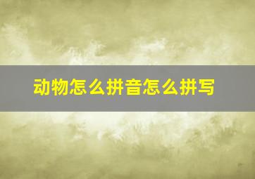 动物怎么拼音怎么拼写