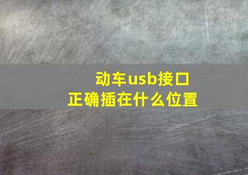 动车usb接口正确插在什么位置