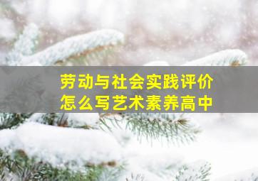 劳动与社会实践评价怎么写艺术素养高中