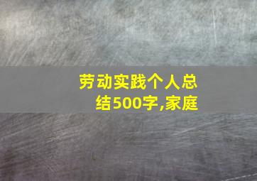 劳动实践个人总结500字,家庭