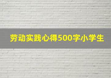 劳动实践心得500字小学生