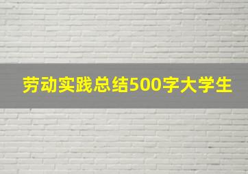 劳动实践总结500字大学生