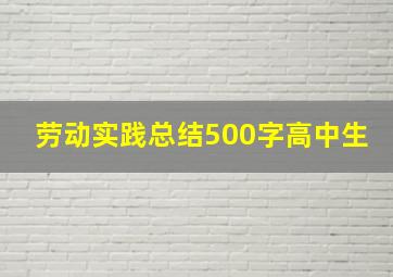 劳动实践总结500字高中生