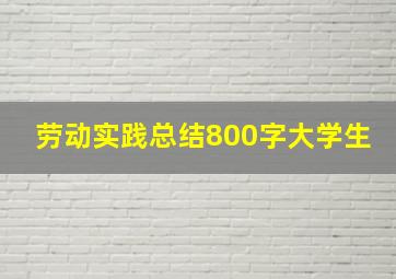 劳动实践总结800字大学生