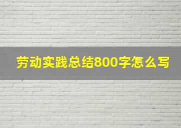 劳动实践总结800字怎么写