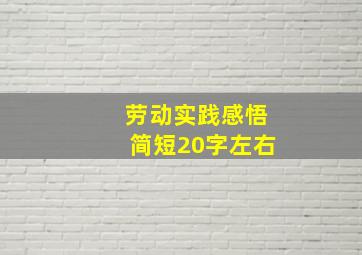 劳动实践感悟简短20字左右