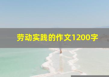 劳动实践的作文1200字