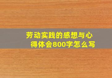 劳动实践的感想与心得体会800字怎么写