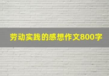 劳动实践的感想作文800字