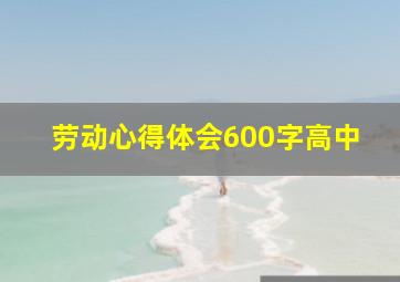 劳动心得体会600字高中