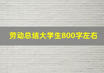 劳动总结大学生800字左右