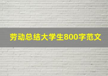 劳动总结大学生800字范文