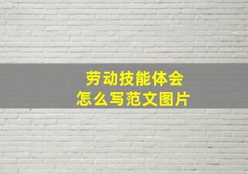 劳动技能体会怎么写范文图片