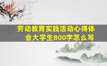 劳动教育实践活动心得体会大学生800字怎么写