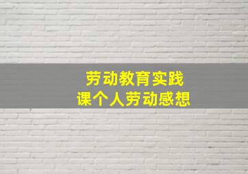 劳动教育实践课个人劳动感想