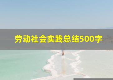 劳动社会实践总结500字