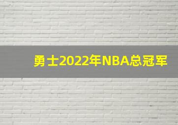 勇士2022年NBA总冠军